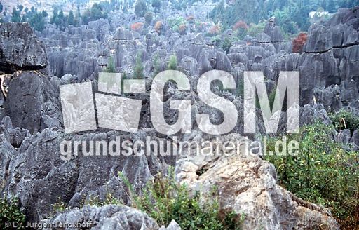 China (6 von 257).jpg